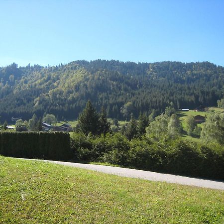 Charmant Studio Avec Terrasse Et Wifi A La Clusaz - Fr-1-459-64 Luaran gambar
